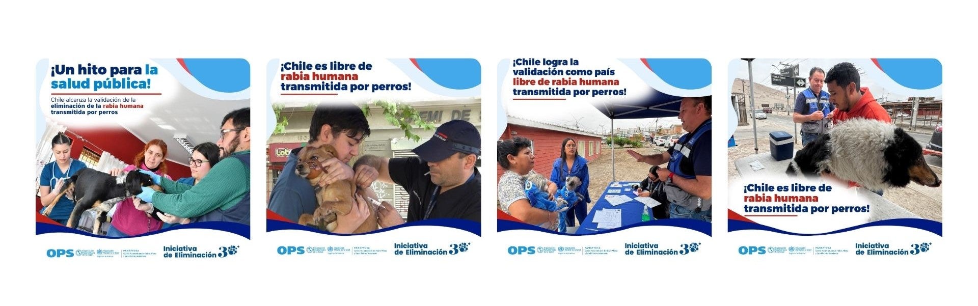 ""tarjetas redes sociales chile eliminación de la rabia transmitida por perros