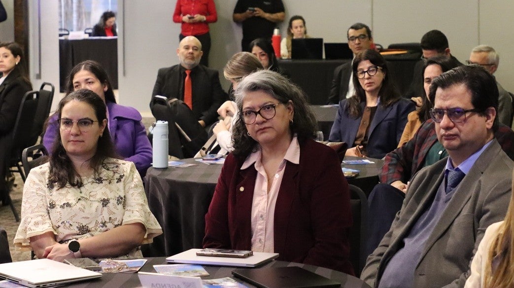 Dra Yohana Díaz Asesora de la OPS WDC (medio)