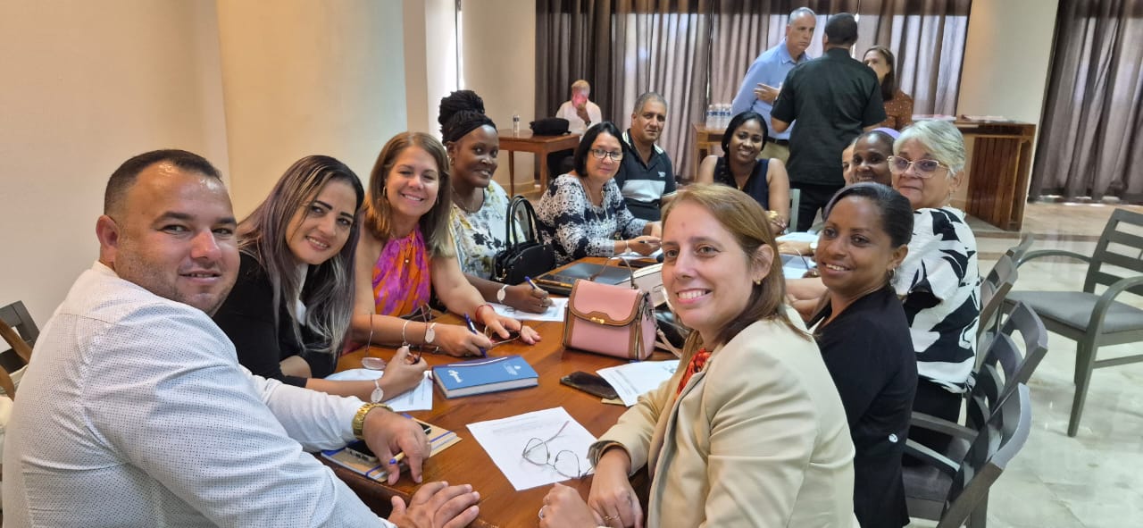 Mesa de trabajo de la región occidental en taller sobre ENT