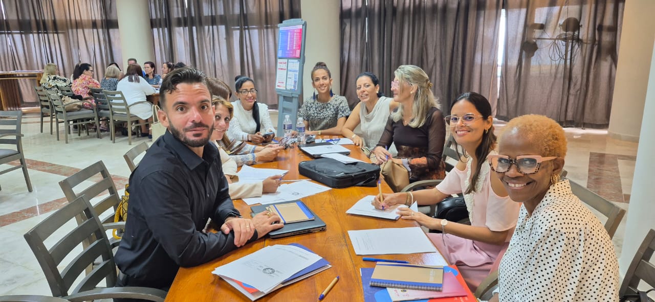 Mesa de trabajo de la región oriental en taller sobre ENT