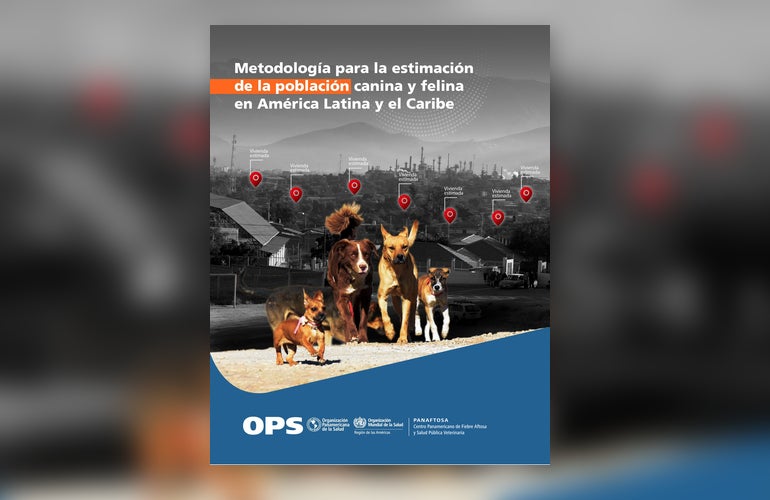 Publication Cover