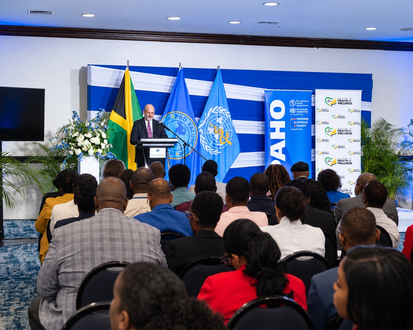 Ian Stein speaking at the opening ceremony