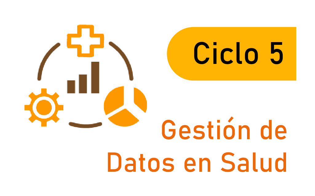Ciclo certificable de Gestión de Datos en Salud