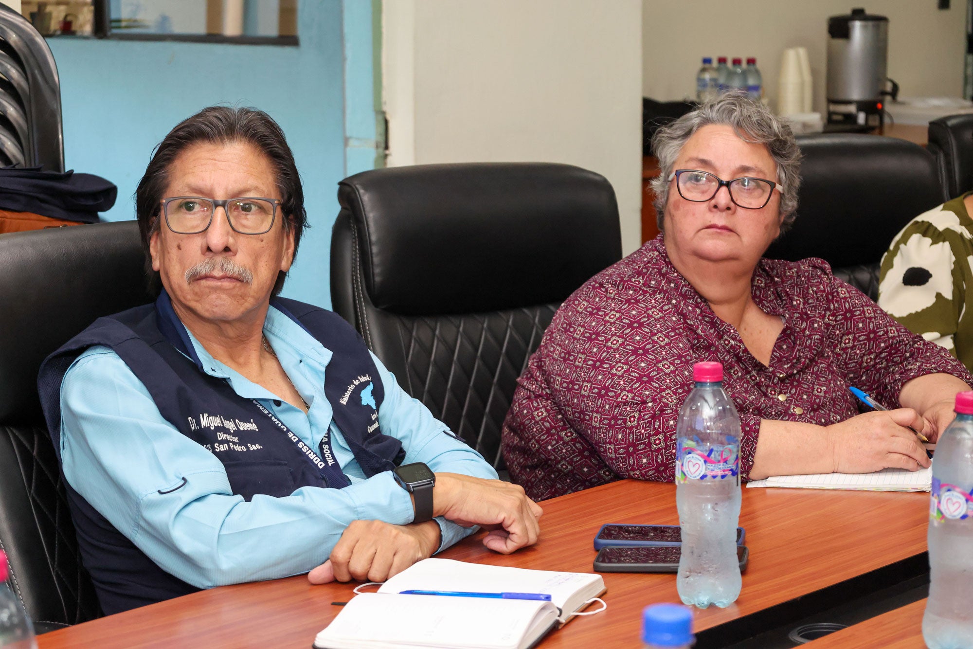 ""reunión de ops y panaftosa con el Ministerio de Salud de Guatemala para discusión sobre rabia canina