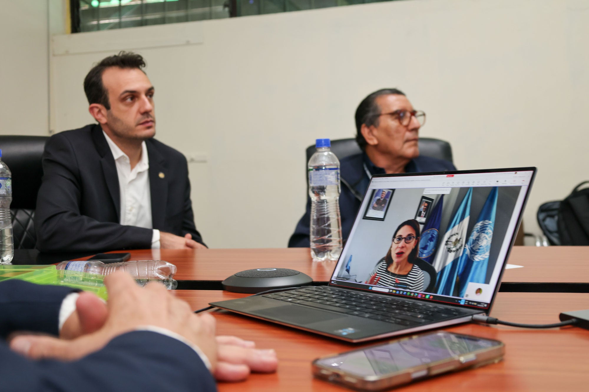 ""reunión de ops y panaftosa con el Ministerio de Salud de Guatemala para discusión sobre rabia canina