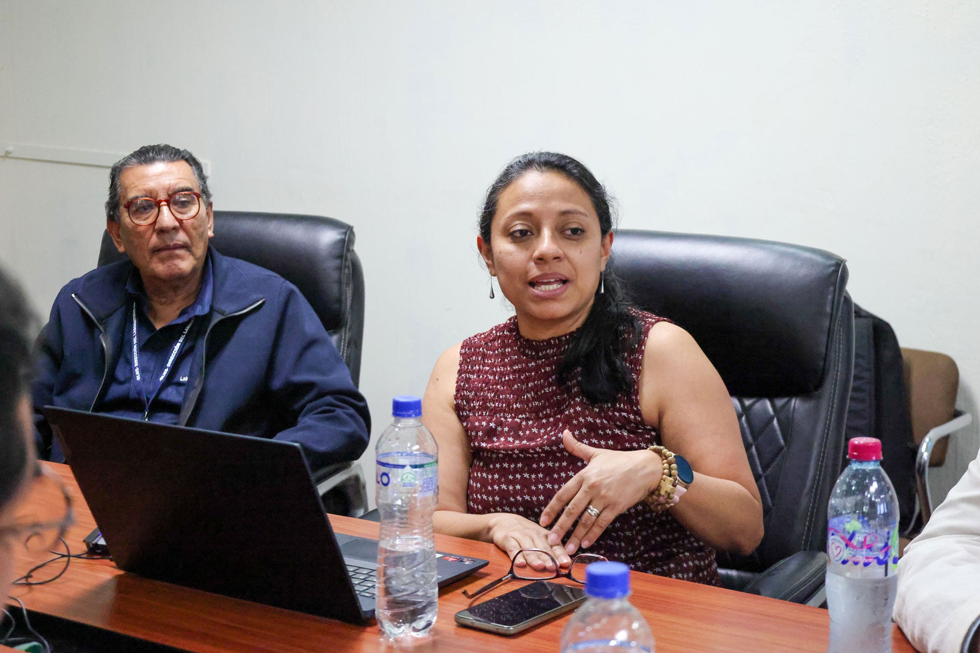 ""reunión de ops y panaftosa con el Ministerio de Salud de Guatemala para discusión sobre rabia canina