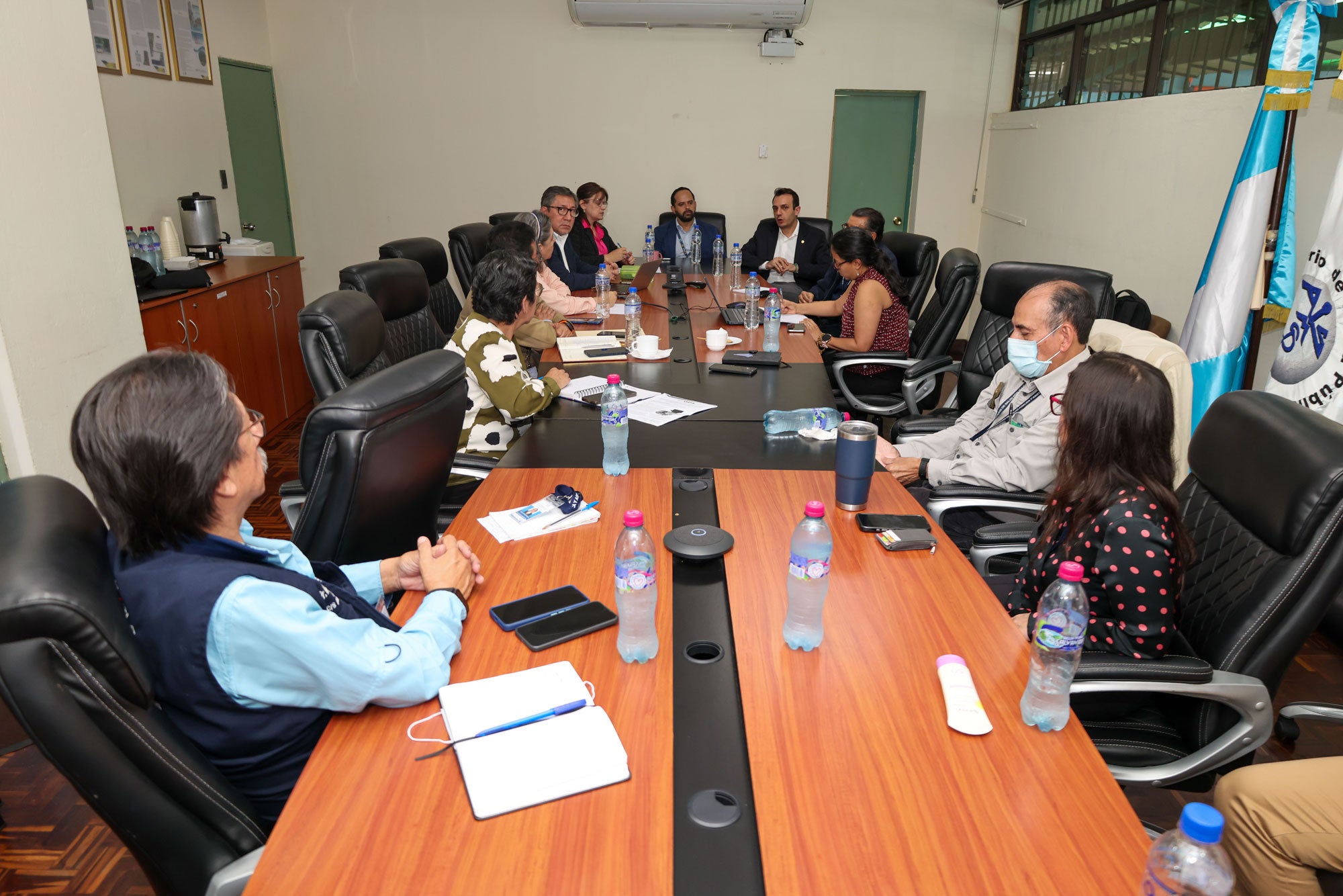 ""reunión de ops y panaftosa con el Ministerio de Salud de Guatemala para discusión sobre rabia canina