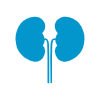 The burden of kidney diseases