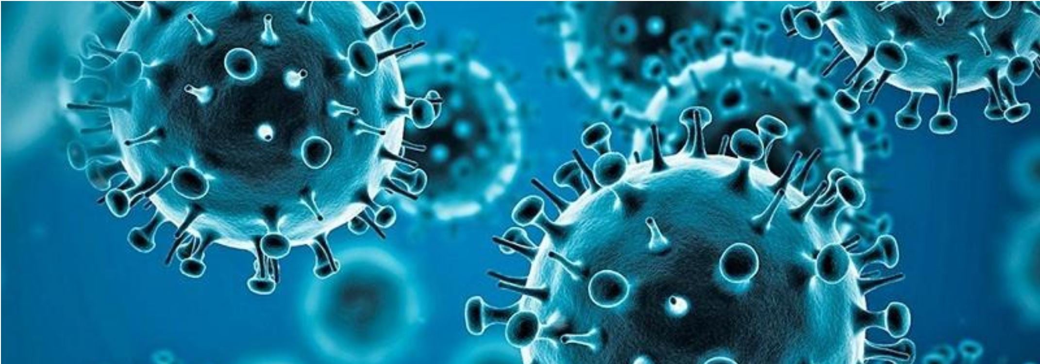 Illustration of coronavirus in blue shades