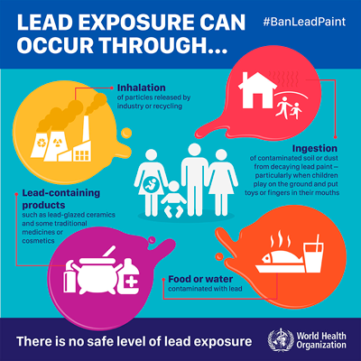 Infographic: Lead exposure can occur through...