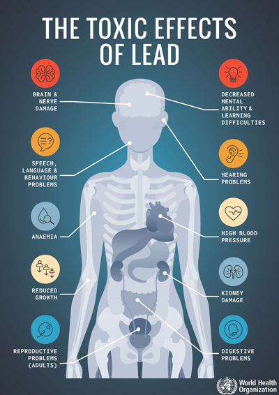 Infographic: The toxic effects of lead
