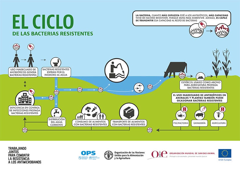 cover-infog-ciclo-amr-2020