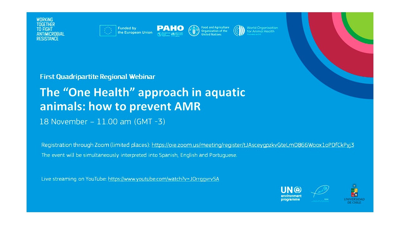 Webinar: One Health approach in aquactic animals: how to prevent AMR