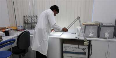 I Curso Internacional de Control Integrado de Vectores