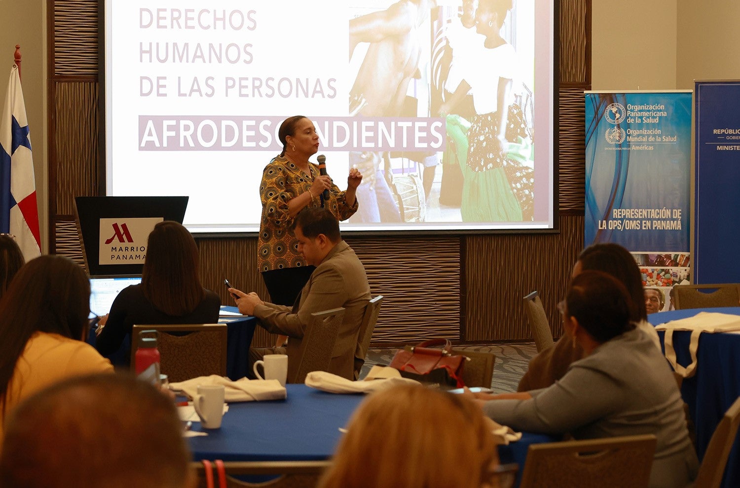 CURSO VIRTUAL VARIABLE AFRODESCENDIENTES-2023-PAN-JPG