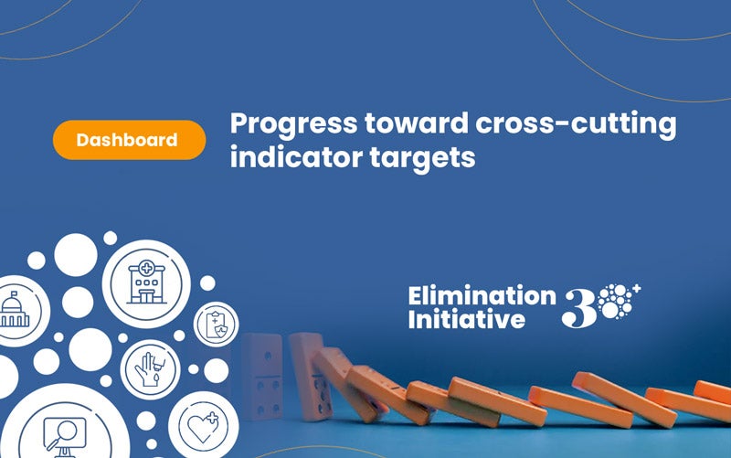 Elimination initiative dashboard 02