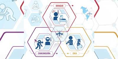Definições de caso, classificação clínica e fases da doença Dengue, chikungunya e zika