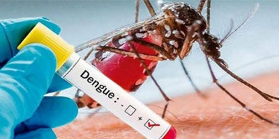 international course dengue