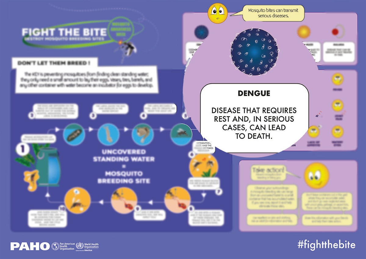 Dengue infographics