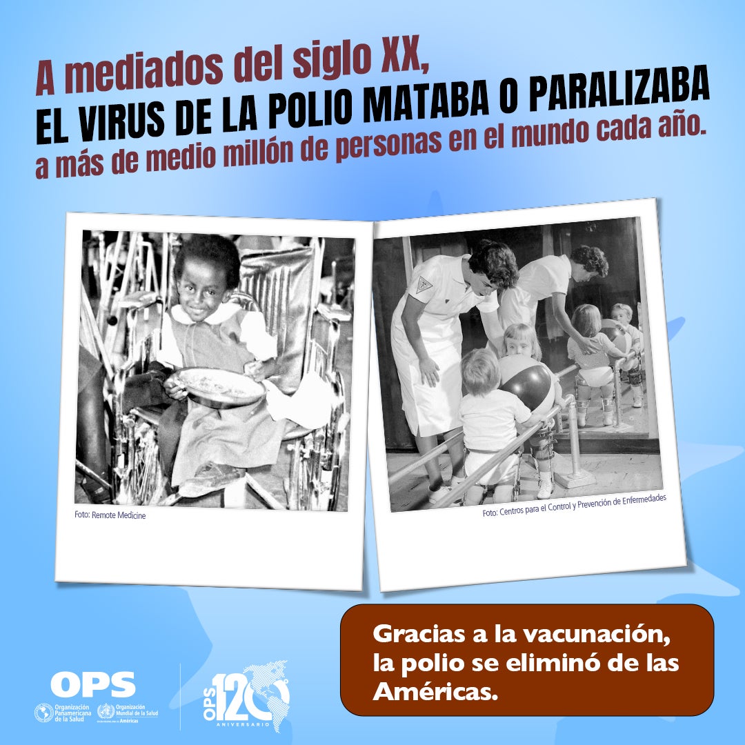 Historia del poliovirus