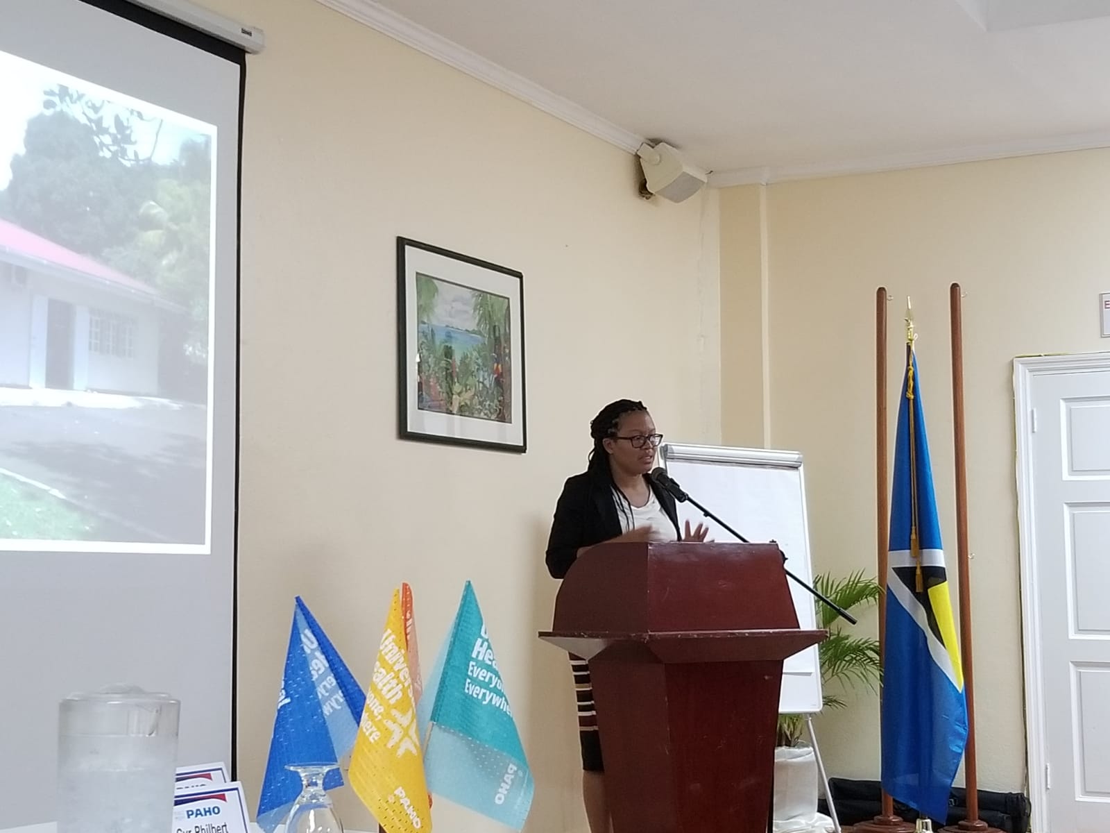 Dr. Shana Cyr-Philbert, Senior Medical Officer (chronic diseases) Ministry of Health of Saint Lucia