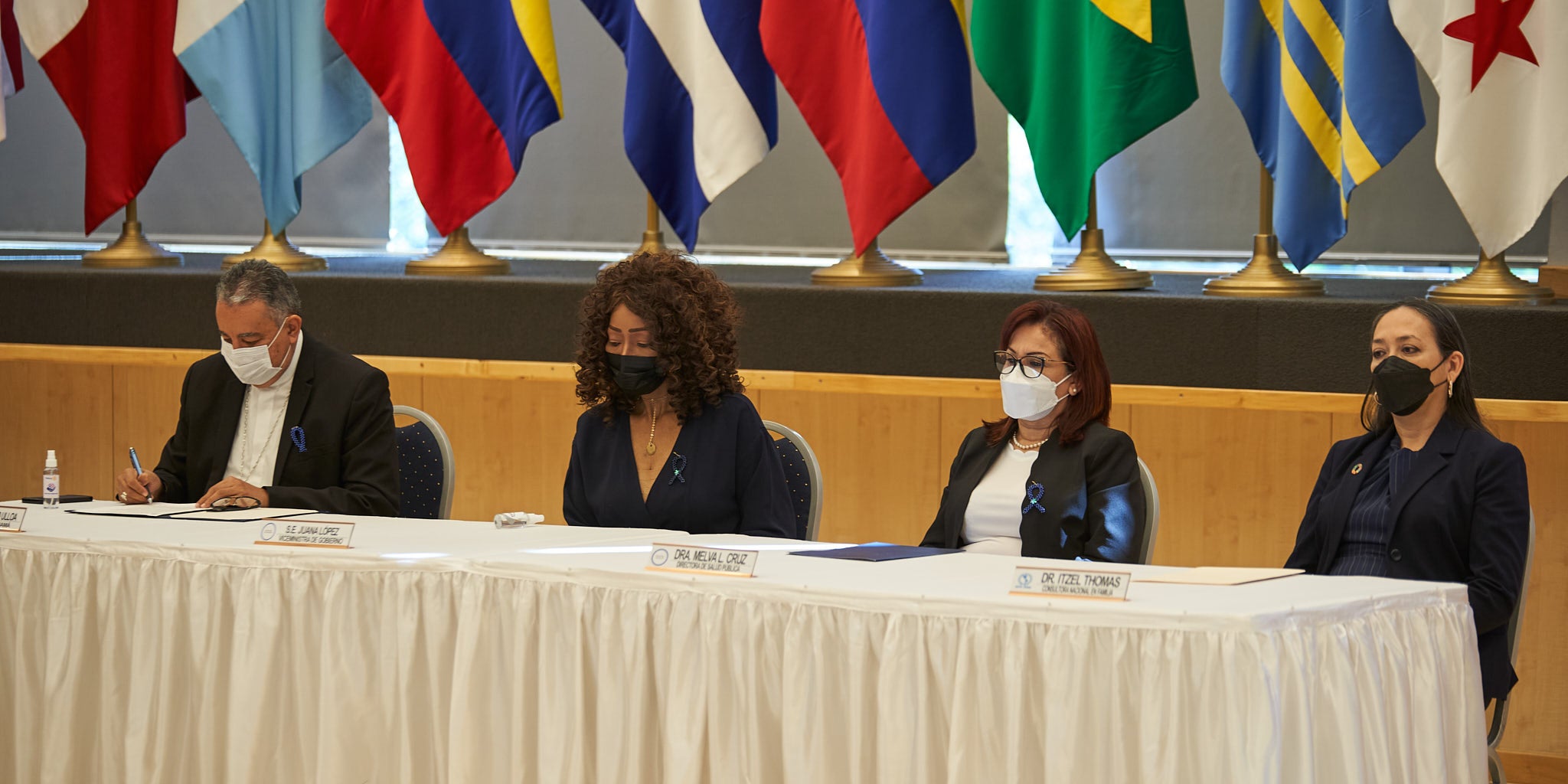 pan-lanzamiento-decada-envejecimiento-saludable-mes-principal