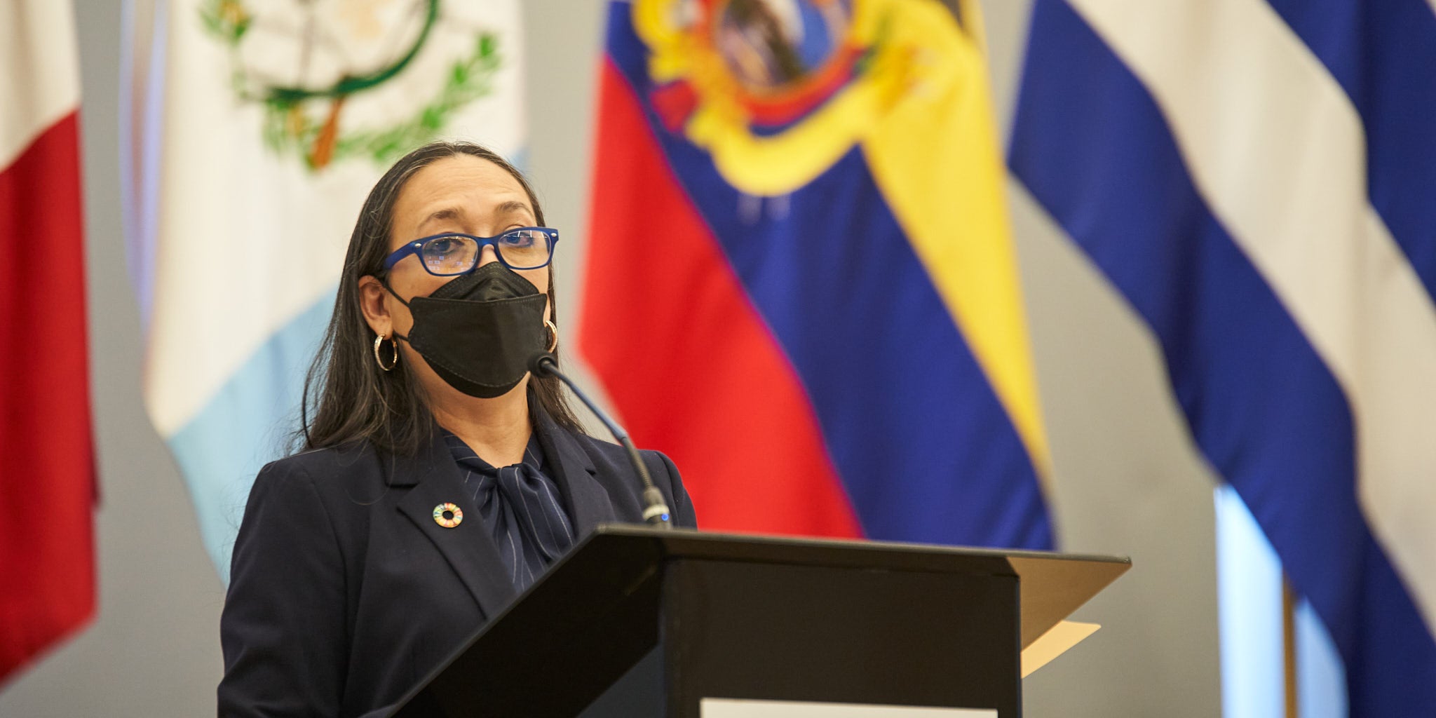 pan-lanzamiento-decada-envejecimiento-saludable-expositor