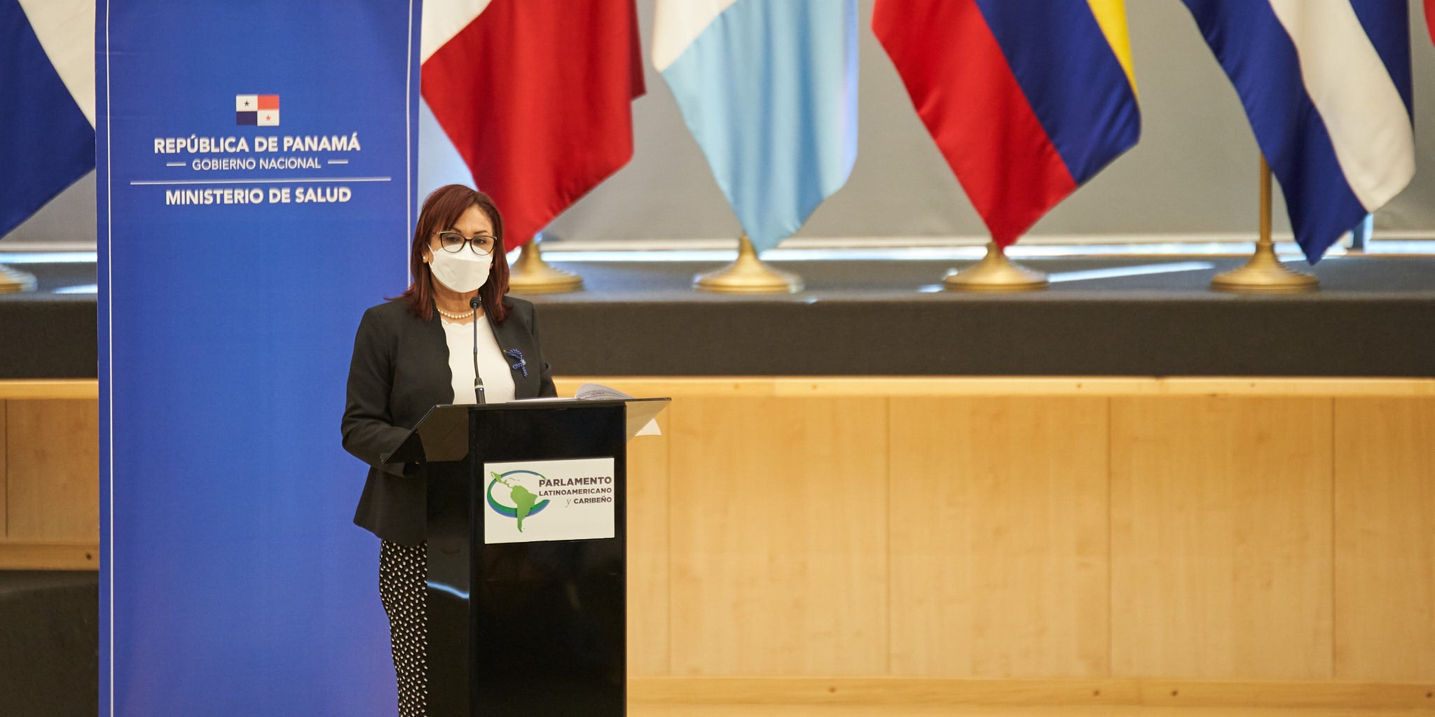 pan-lanzamiento-decada-envejecimiento-saludable