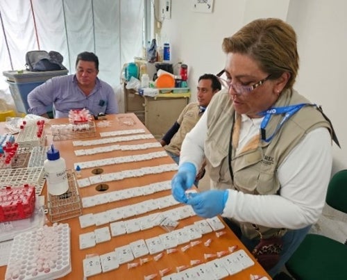 Equipo del programa de Leishmaniasis Federal y Estatal, Unidad de Investigación Entomológica y Bioensayos de Chiapas.