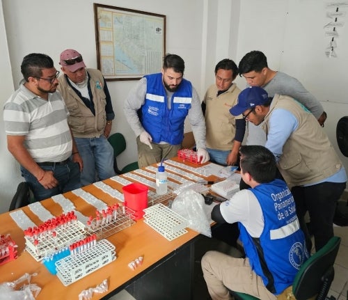 Equipo de laboratorio y veterinario Federal y Estatal, acompañado de OPS/OMS y Fiocruz, Unidad de Investigación Entomológica y Bioensayos de Chiapas.