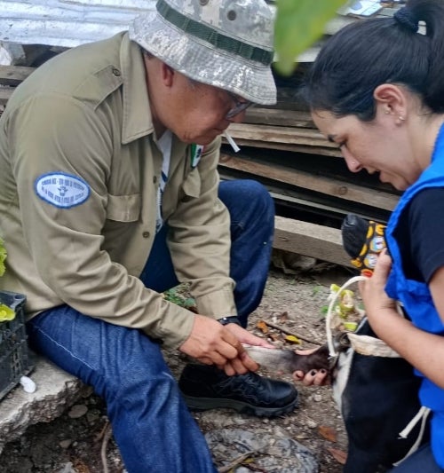 Equipo Veterinario Estatal acompañado de OPS/OMS, Chiapa de Corzo.