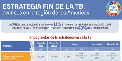 Hoja Informativa: Estrategia Fin de la TB: Avances en la Región de las Américas