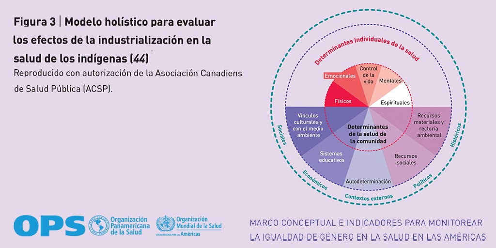 Figura 3-  IGUALDAD DE GÉNERO EN LA SALUD EN LAS AMÉRICAS