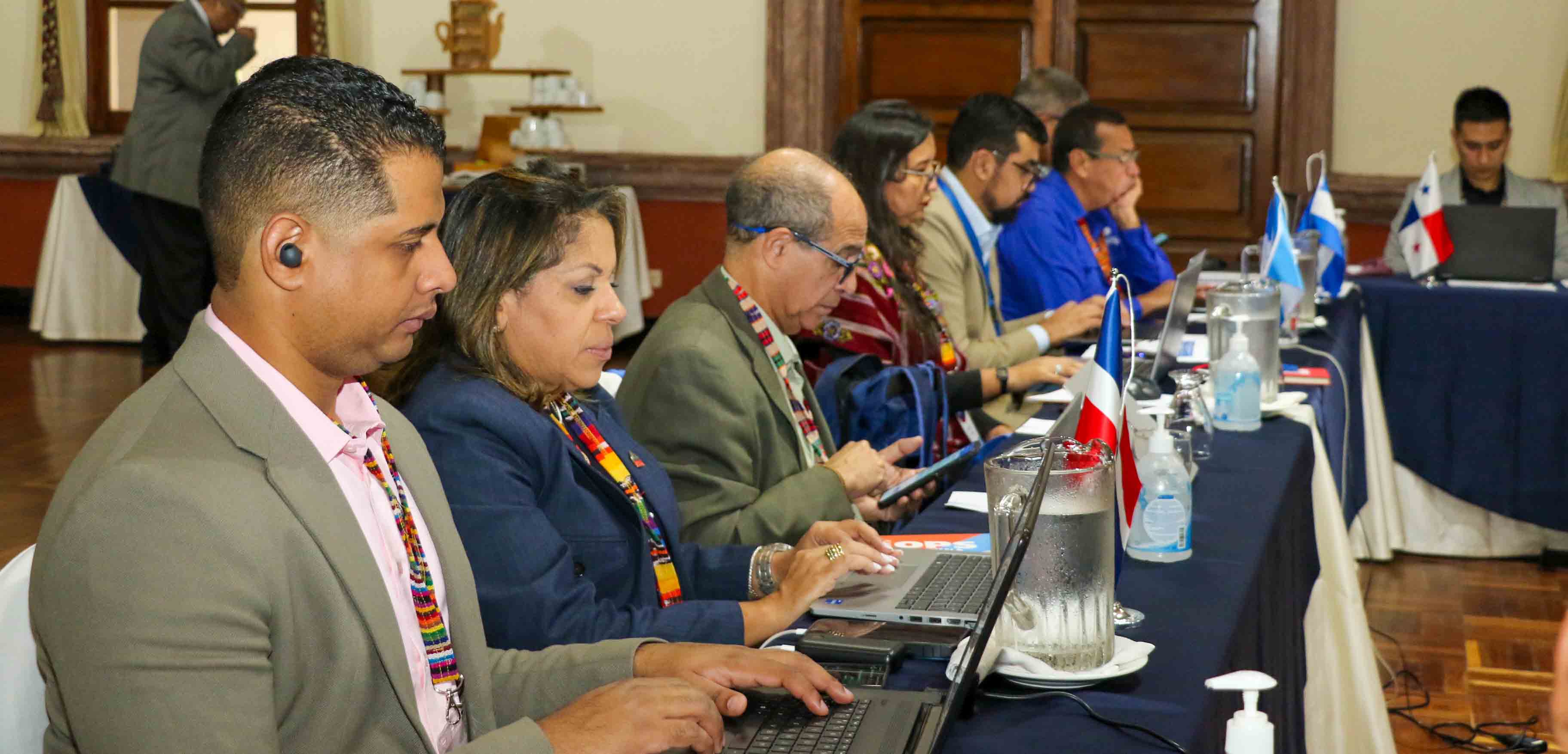 Coordinadores de emergencia 