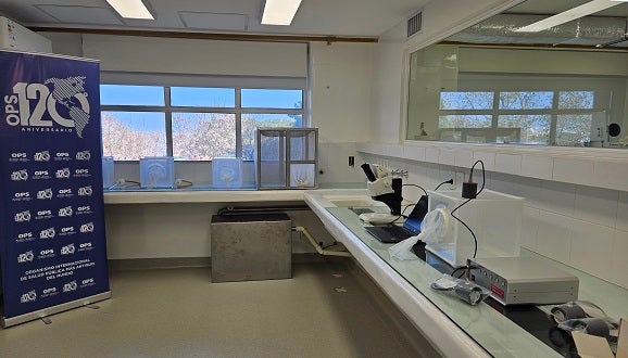 Lanzamiento Insectario 2