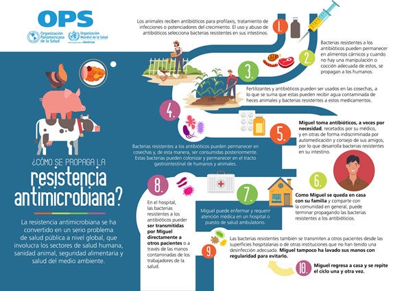 Las Preguntas M s Frecuentes Sobre Resistencia A Los Antimicrobianos 