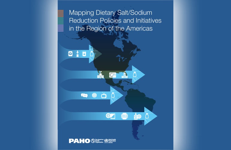 Mapping dietary salt/sodium reduction policies