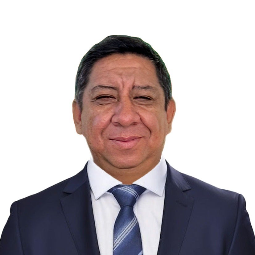 Delegado Sector Público
