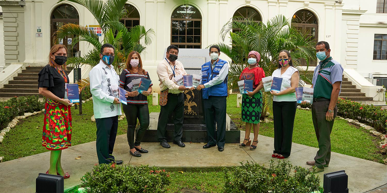 pan-entrega-ley-17-DASI-OPS