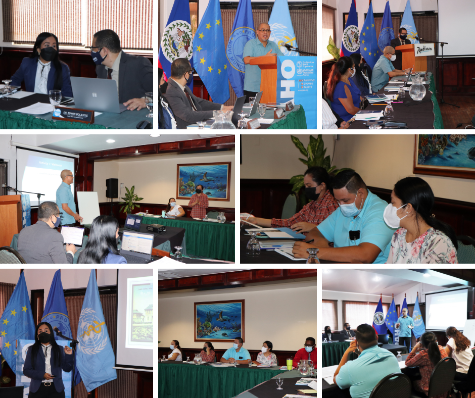 MoHW and PAHO Belize conduct mhGAP-IG Training Workshops