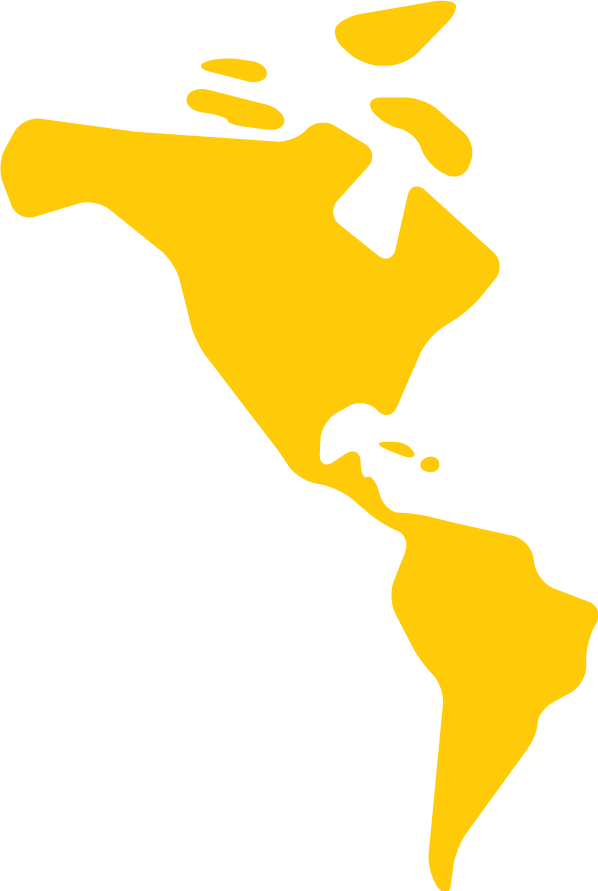 Plain illustration of the silouette of the Region of the Americas in yellow