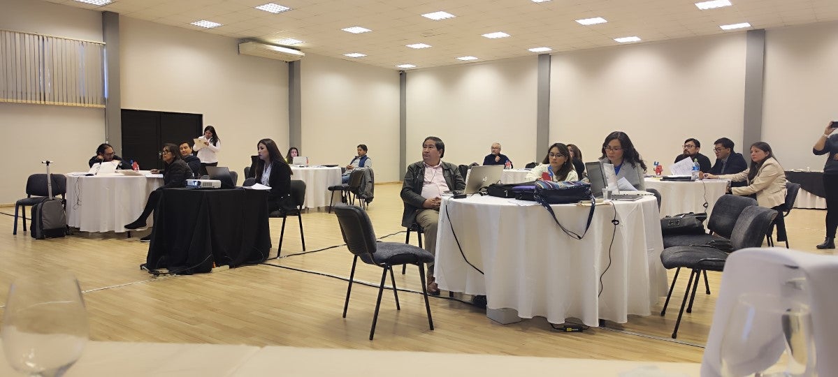 Asistentes al taller