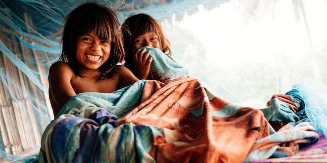 children in bed surrounded by a mosquito net