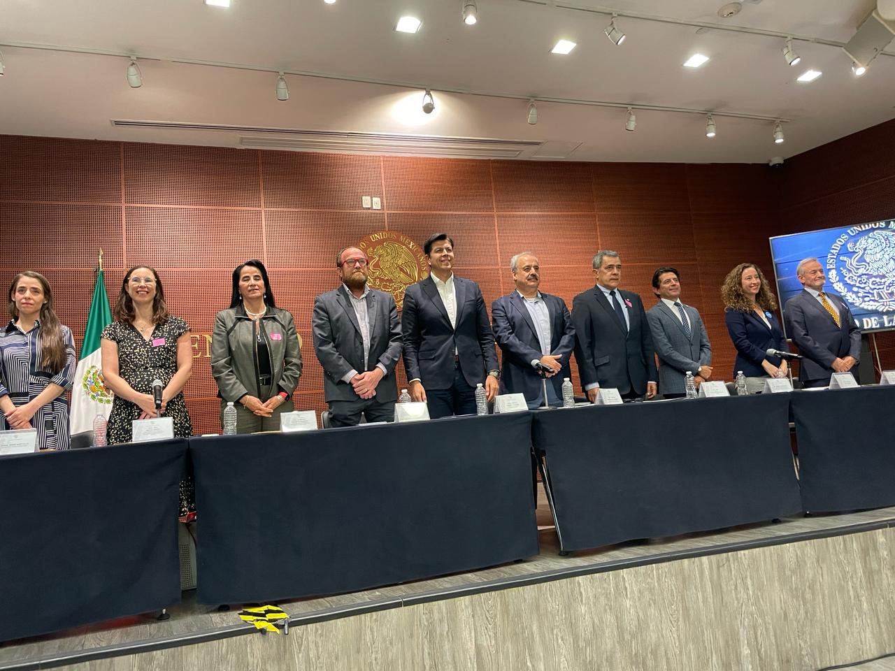 Obesidad 2024 Senado