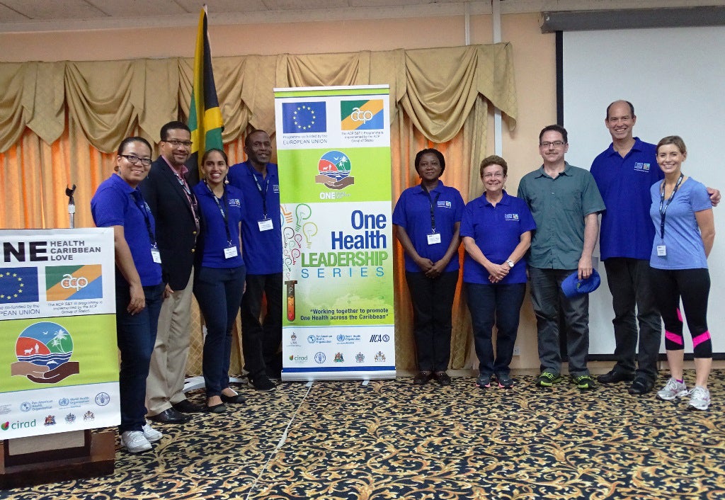 presentations on food security, nutritional security, and social determinants of food safety 