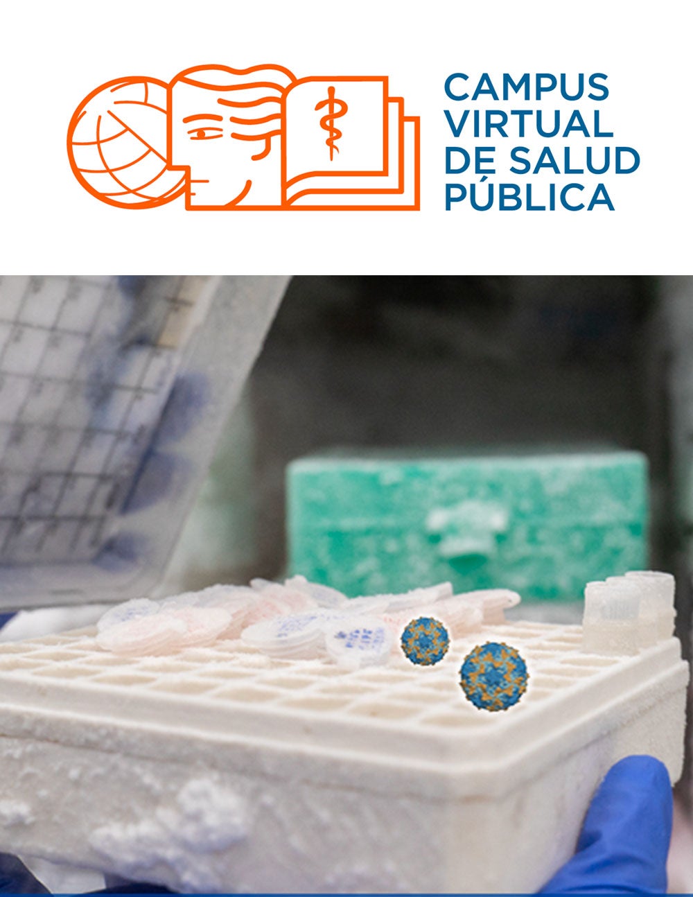 Estrategias basadas en riesgos para la contención del poliovirus en las instalaciones