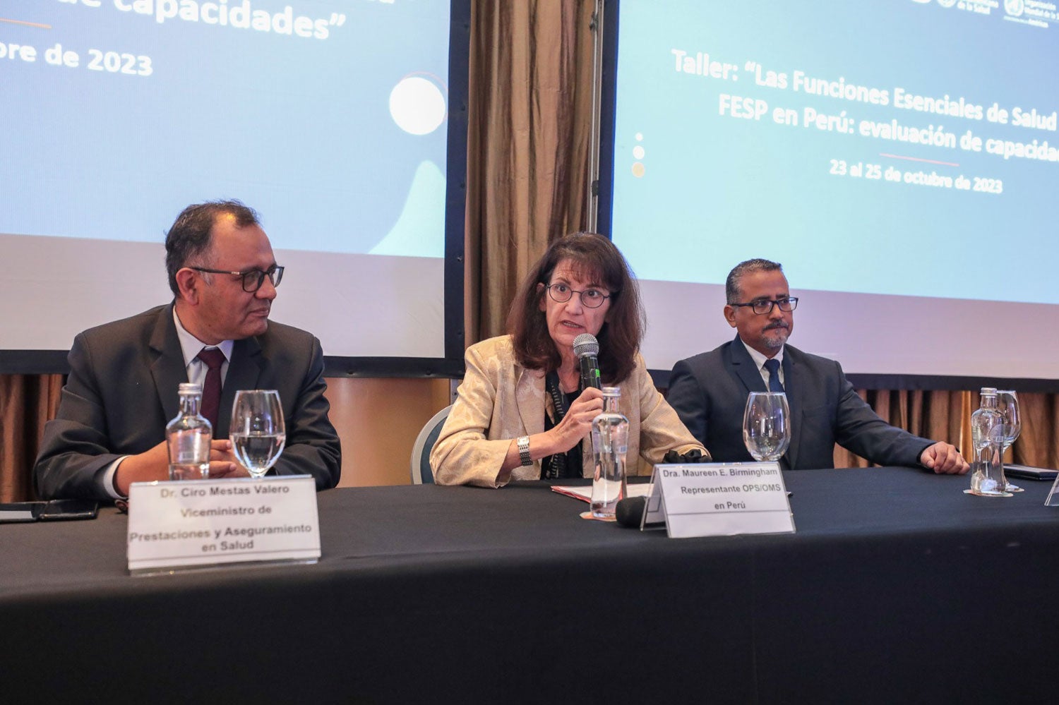 Dra. Maureen Birmingham durante intervención junto a los viceministros Ciro Mestas y Eric Peña