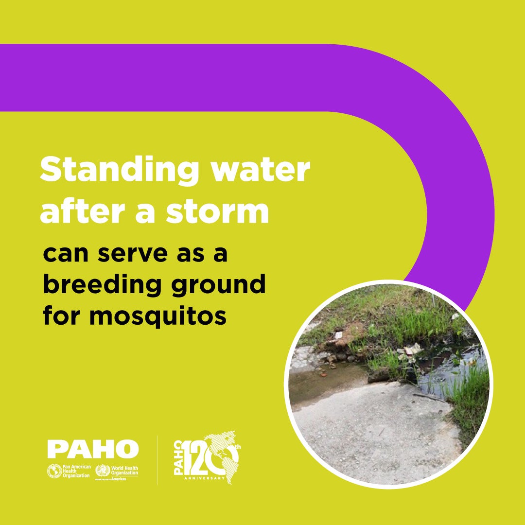 Standing water can serve as a breeding ground for mosquitos