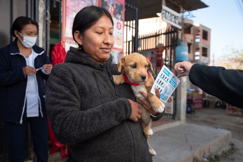 vacunacion contra la rabia canina