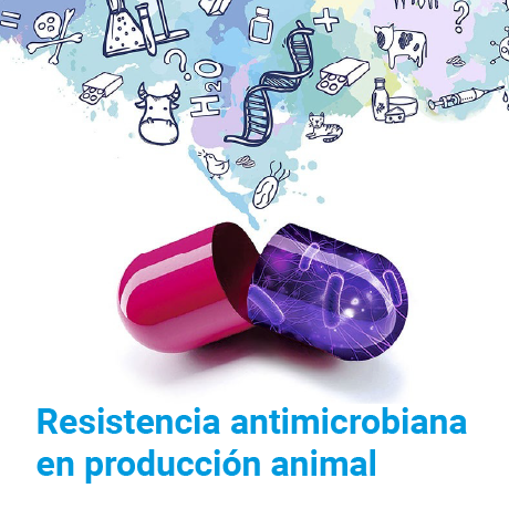 Resistencia Antimicrobiana en Producción Animal (em espanhol)